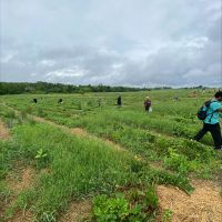 Strawberry Farm Meet & Mingle QAG