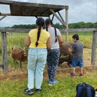 Strawberry Farm Meet & Mingle QAG - Summer